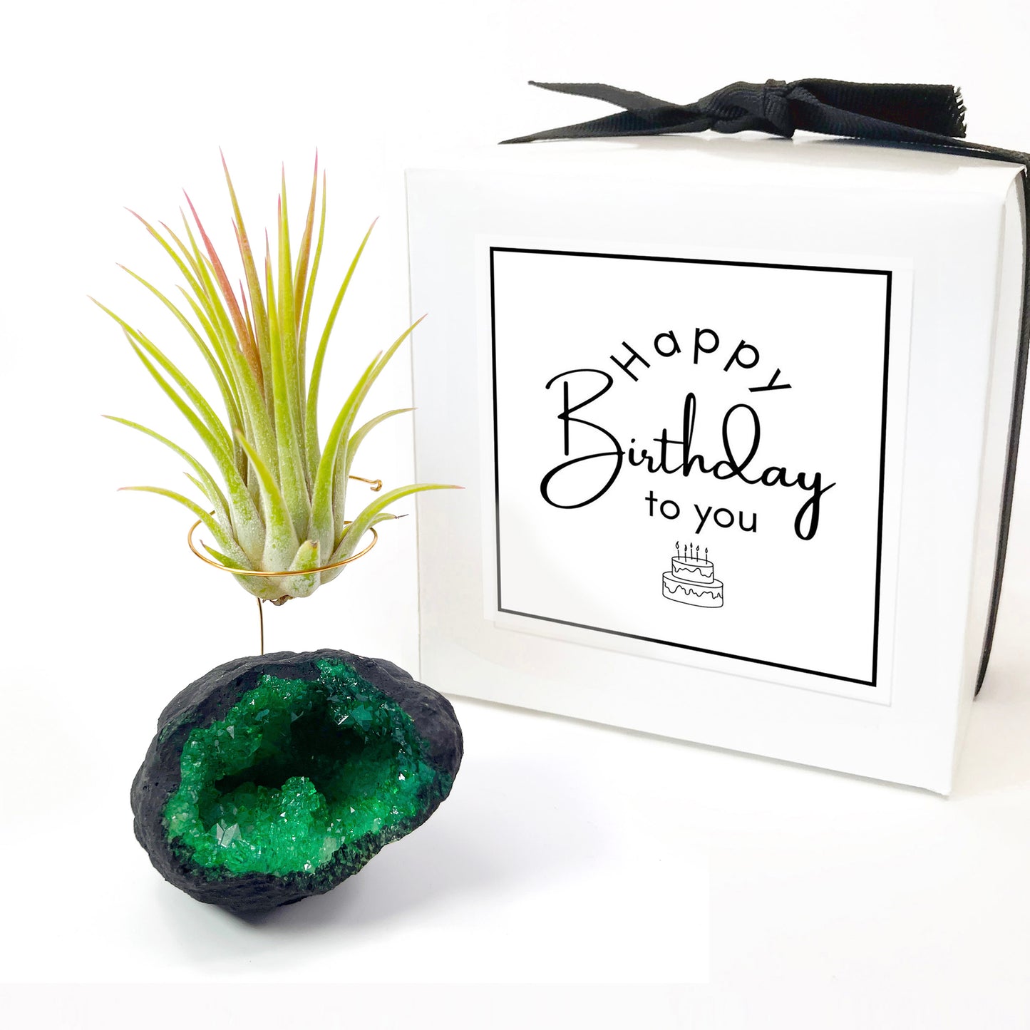 Green Geode Air Plant Holder