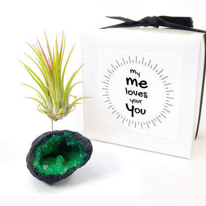 Green Geode Air Plant Holder