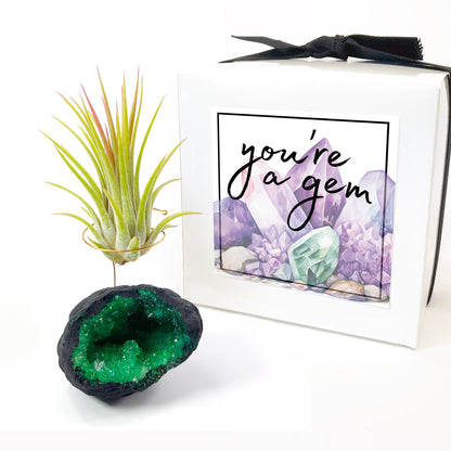 Green Geode Air Plant Holder