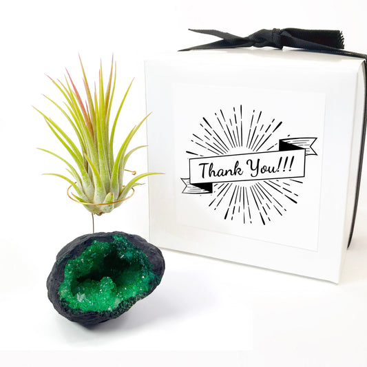 Thank You Gift - Green Geode Air Plant Holder