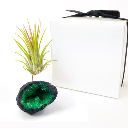 Green Geode Air Plant Holder