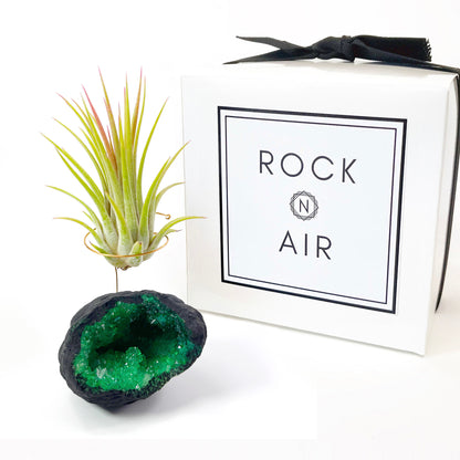 air plant rock holder Green Geode Air Plant Holder