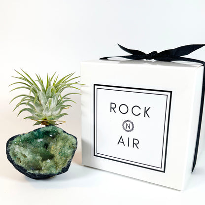 One-of-kind Small Light Green Geode Crystal Air Plant Holder - Gift Wrapped and Plant Included