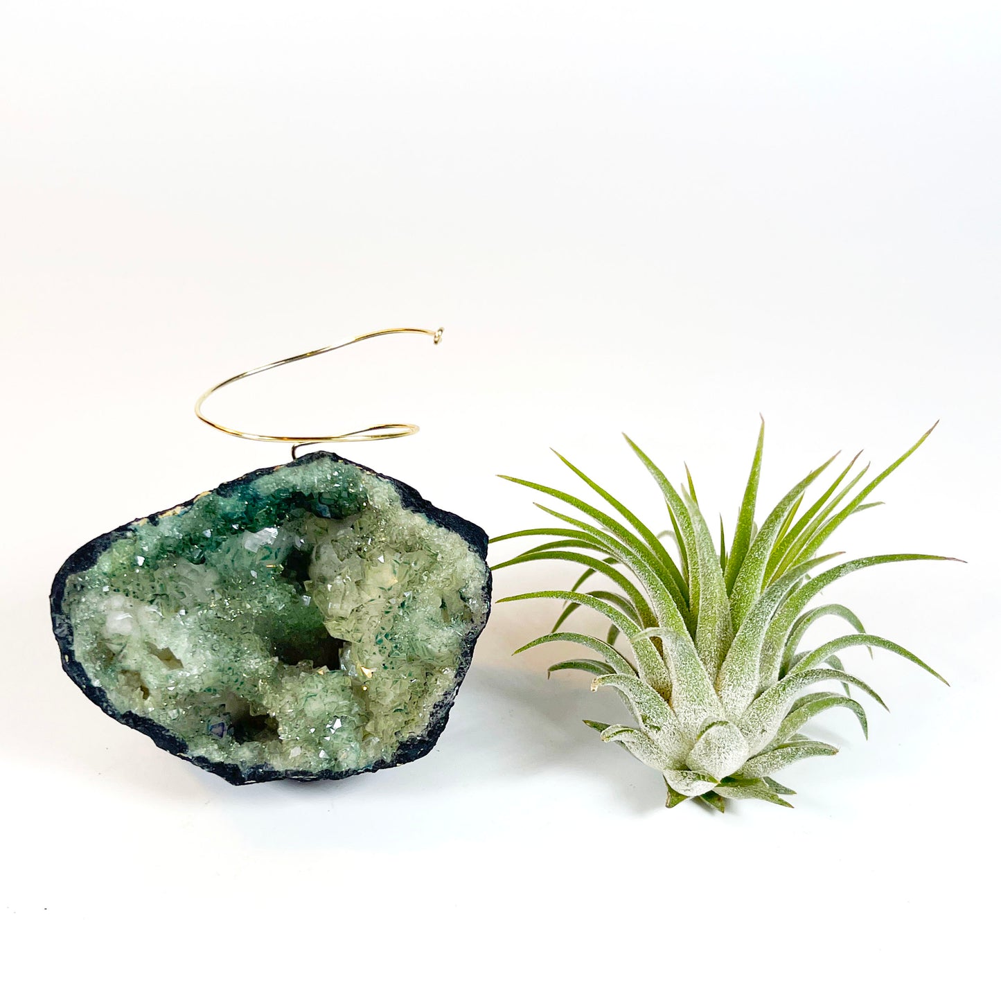 One-of-kind Small Light Green Geode Crystal Air Plant Holder - Gift Wrapped and Plant Included