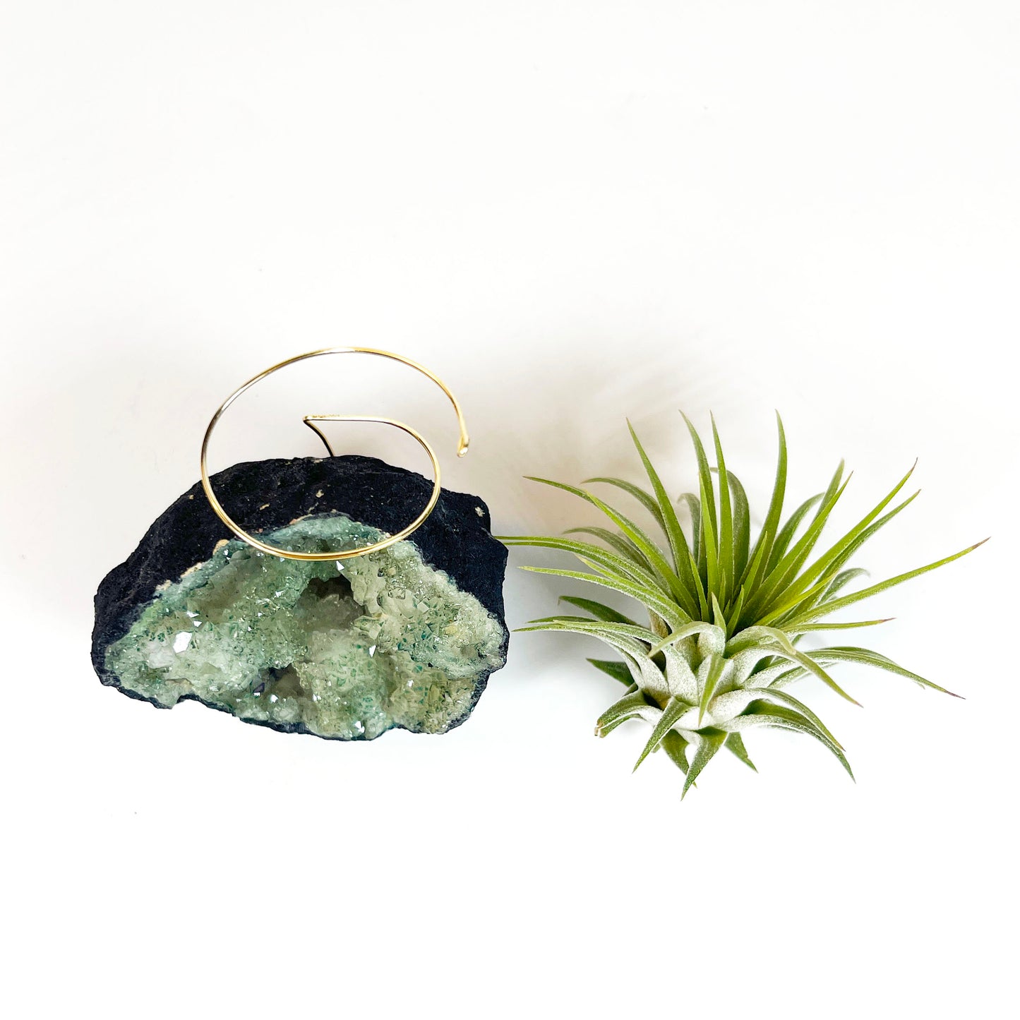 One-of-kind Small Light Green Geode Crystal Air Plant Holder - Gift Wrapped and Plant Included