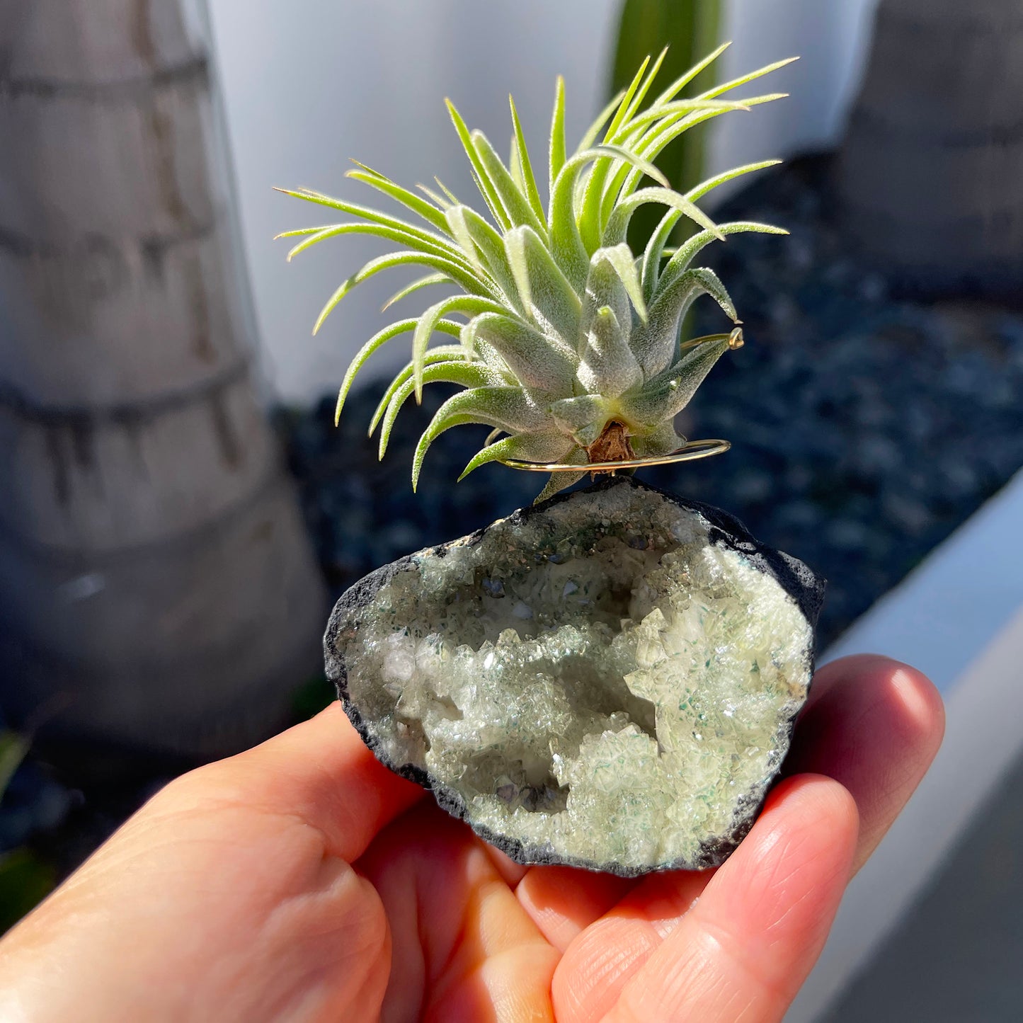 One-of-kind Small Light Green Geode Crystal Air Plant Holder - Gift Wrapped and Plant Included