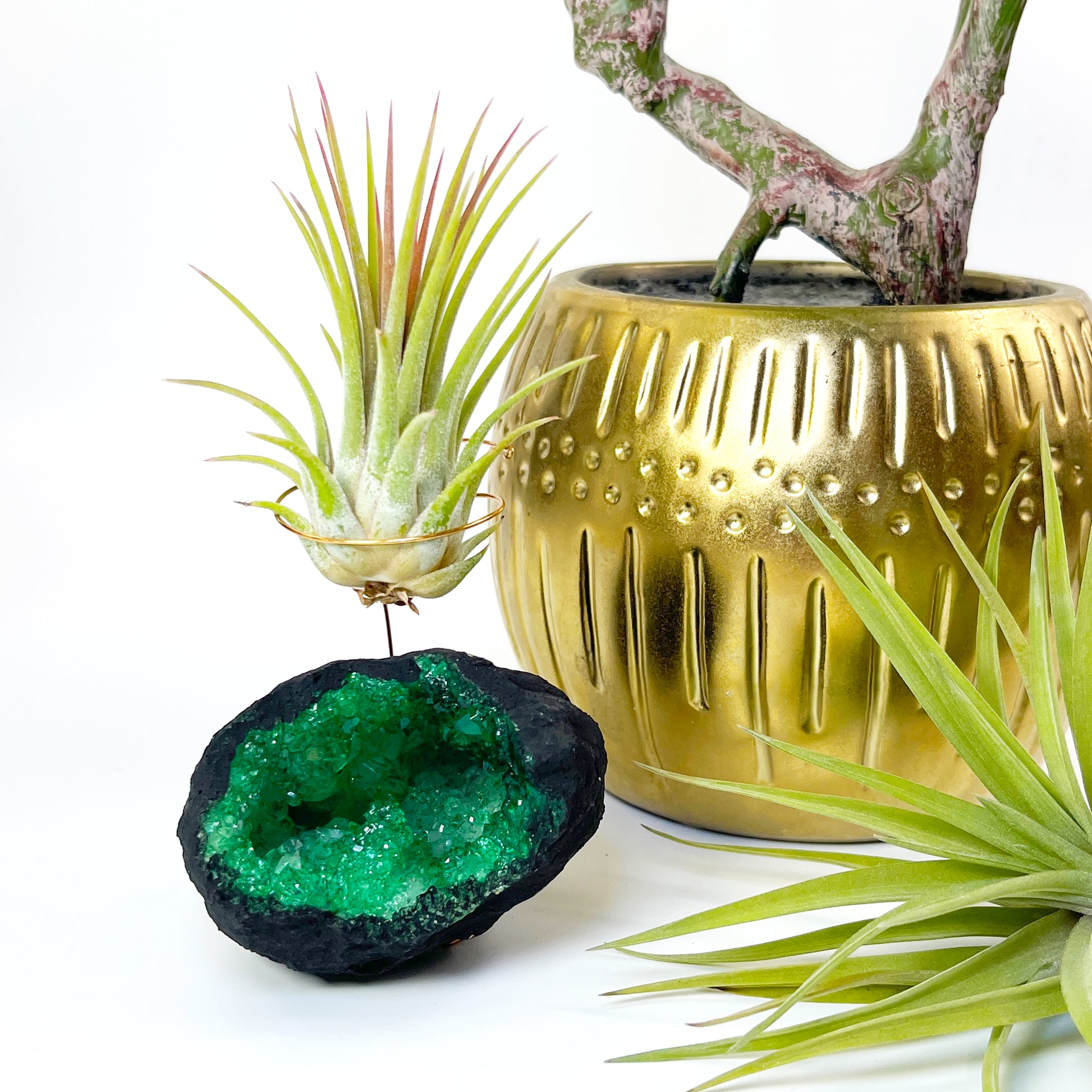 air plant rock holder Green Geode Air Plant Holder