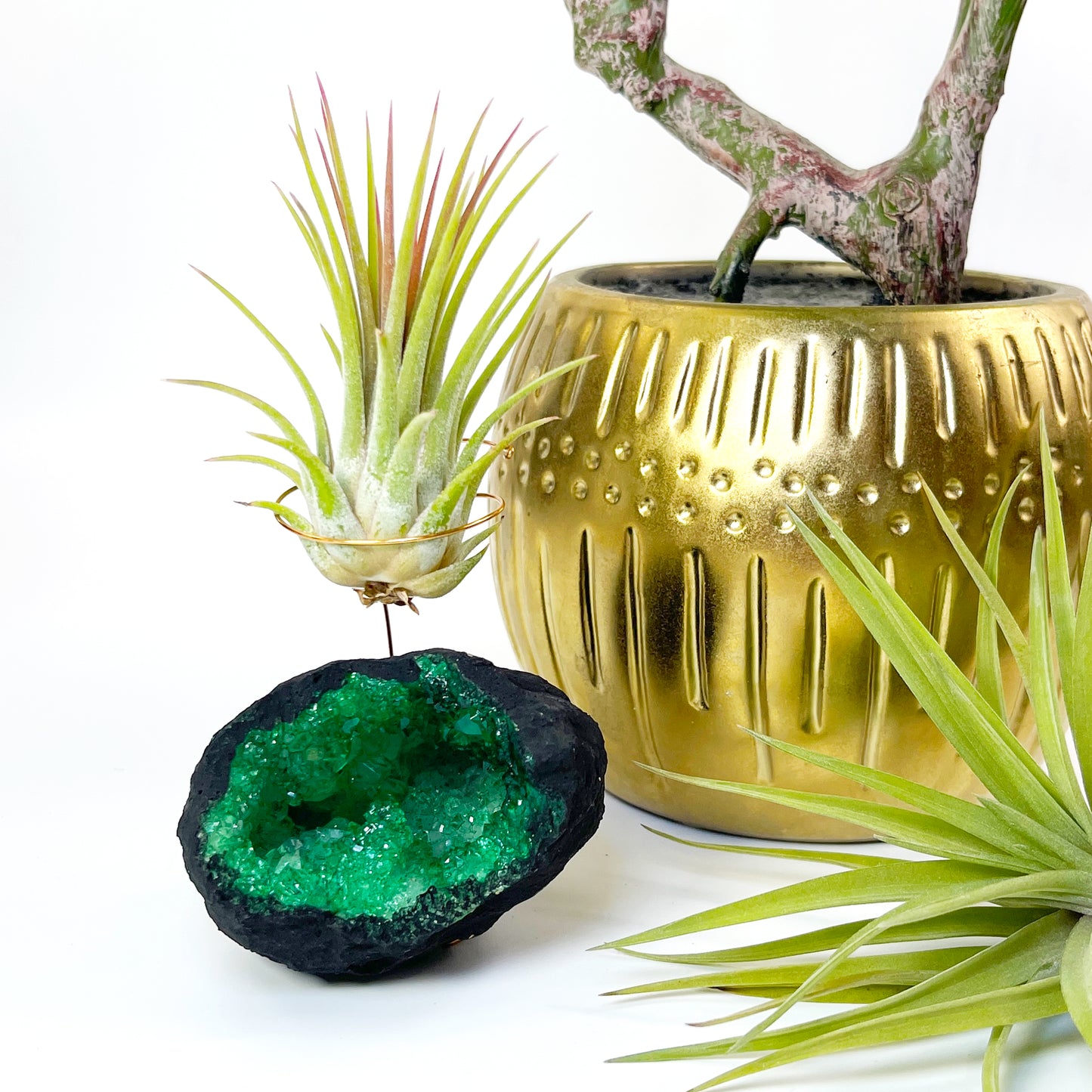 Green Geode Air Plant Holder