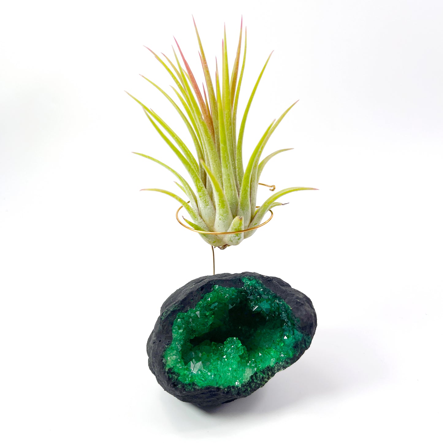 Green Geode Air Plant Holder