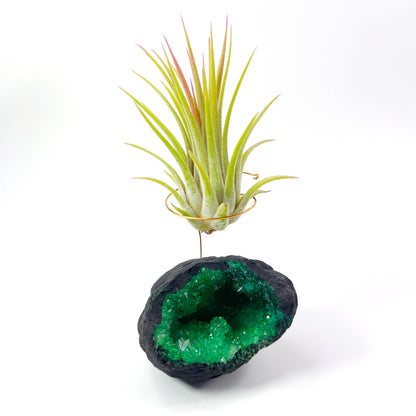 Green Geode Air Plant Holder