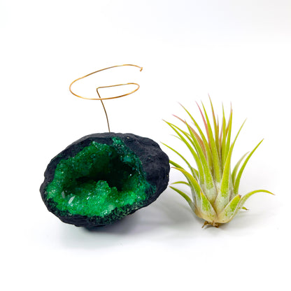 Green Geode Air Plant Holder