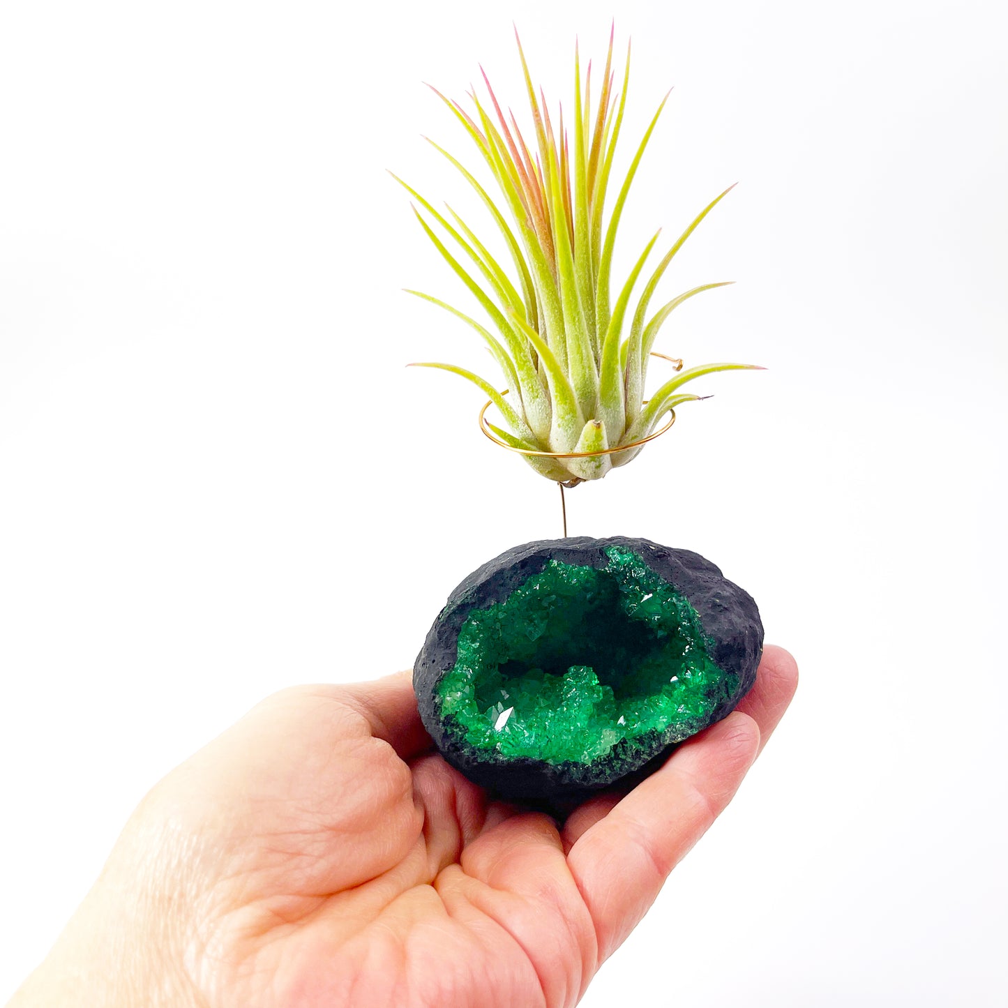 Green Geode Air Plant Holder