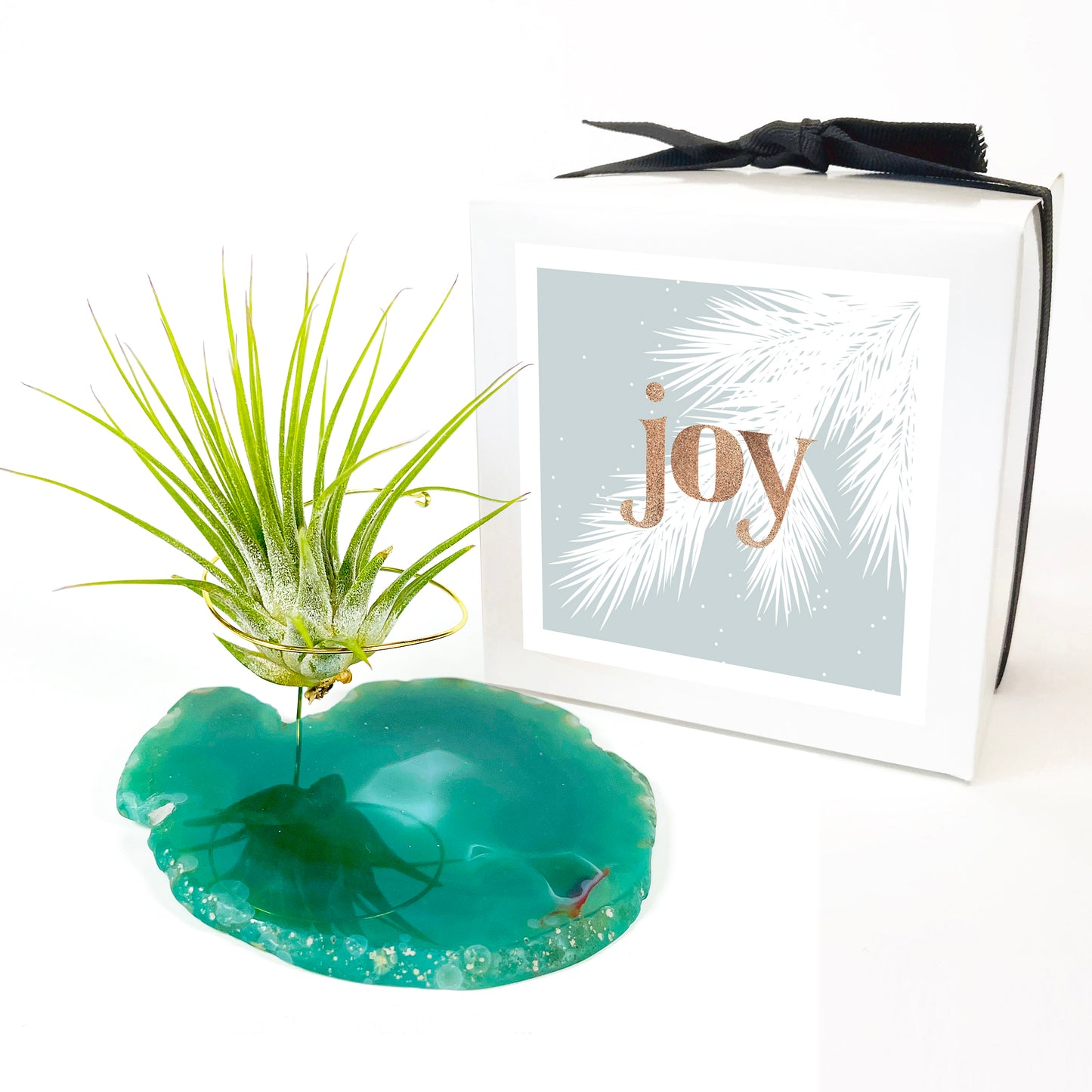 Green Agate Air Plant Holder