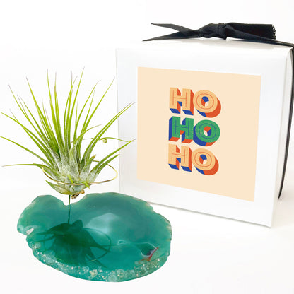 Green Agate Air Plant Holder