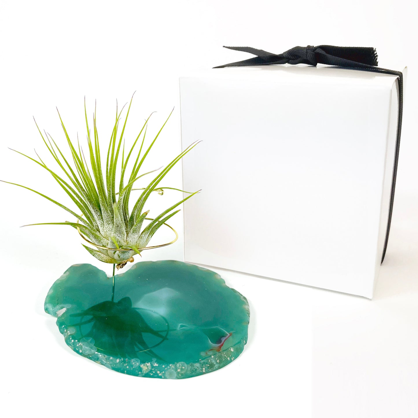 Green Agate Air Plant Holder