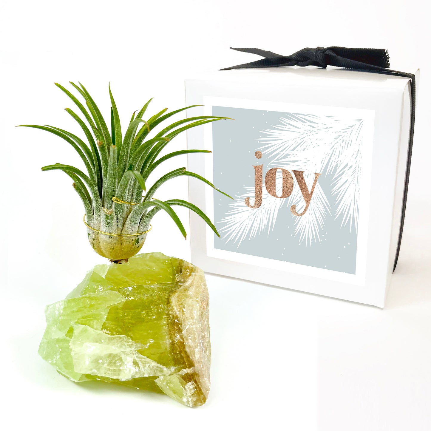 Green Calcite Air Plant Holder