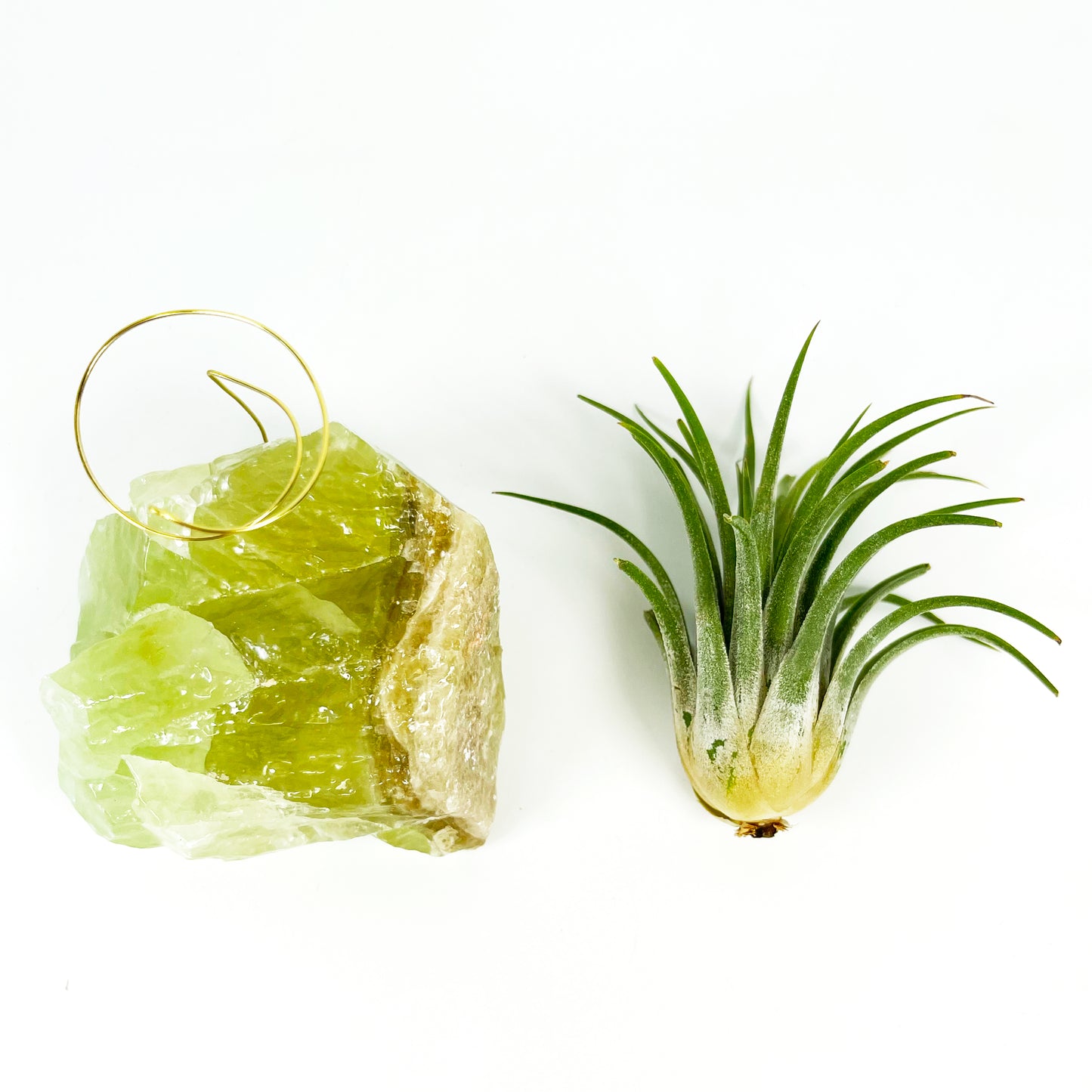 Green Calcite Air Plant Holder