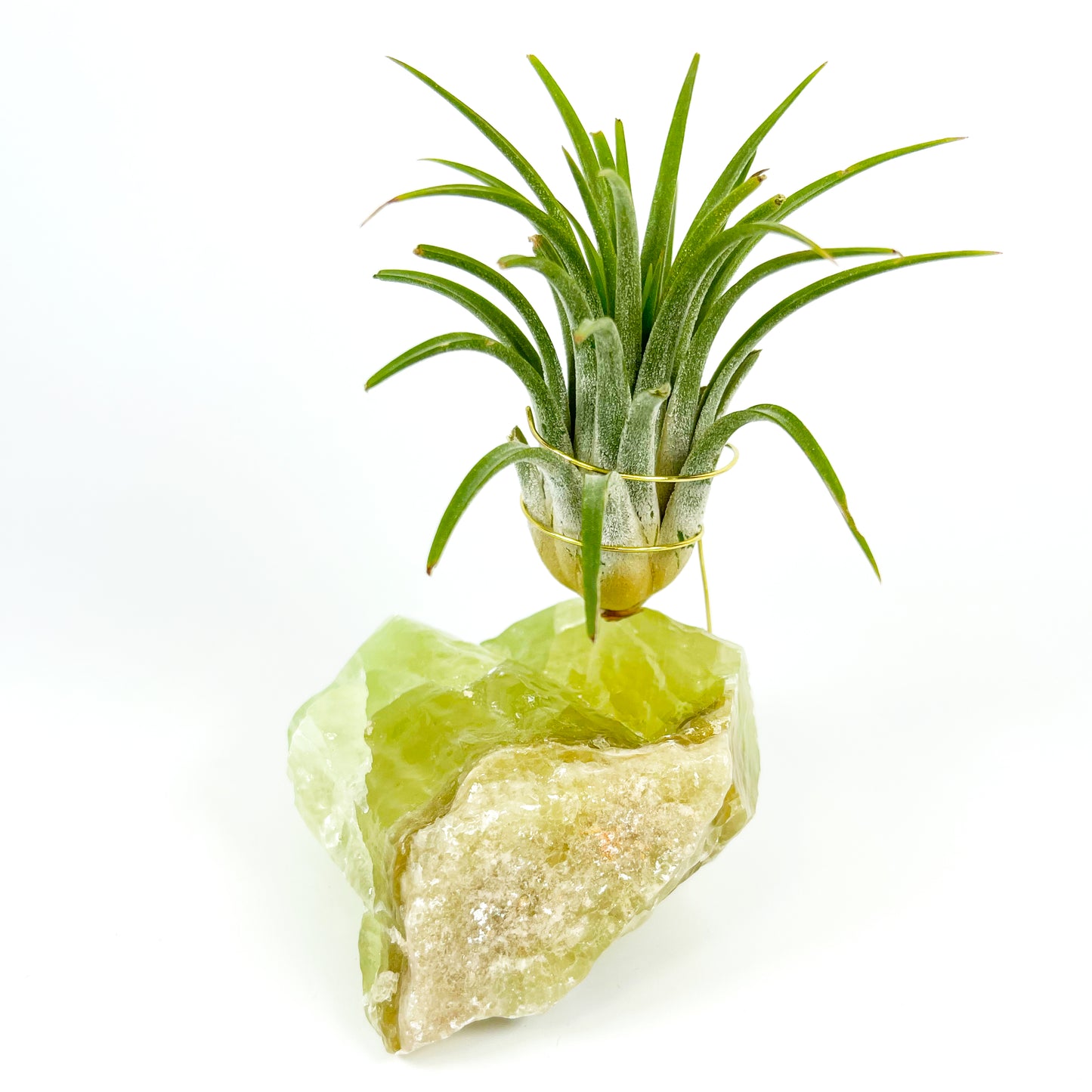 Green Calcite Air Plant Holder