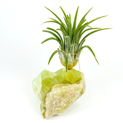 Green Calcite Air Plant Holder