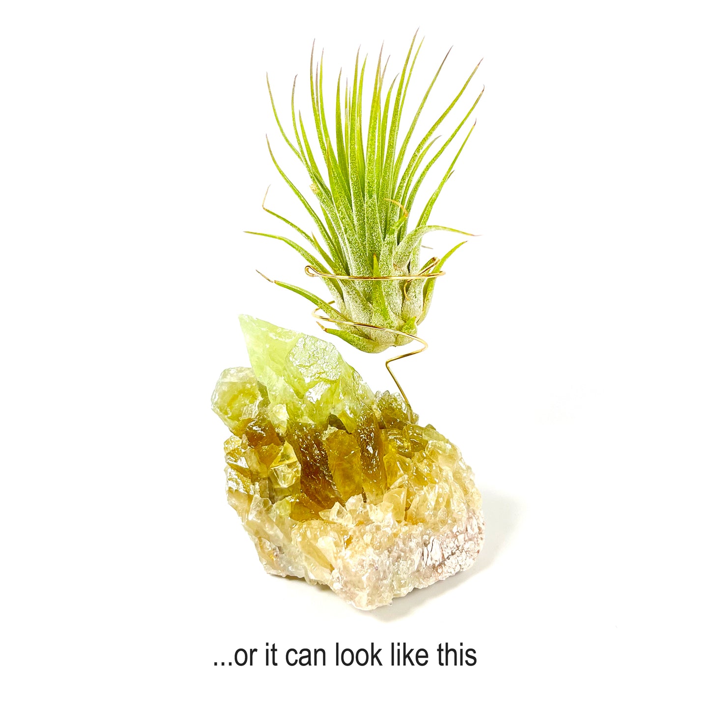 Green Calcite Air Plant Holder