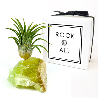 Green Calcite Air Plant Holder