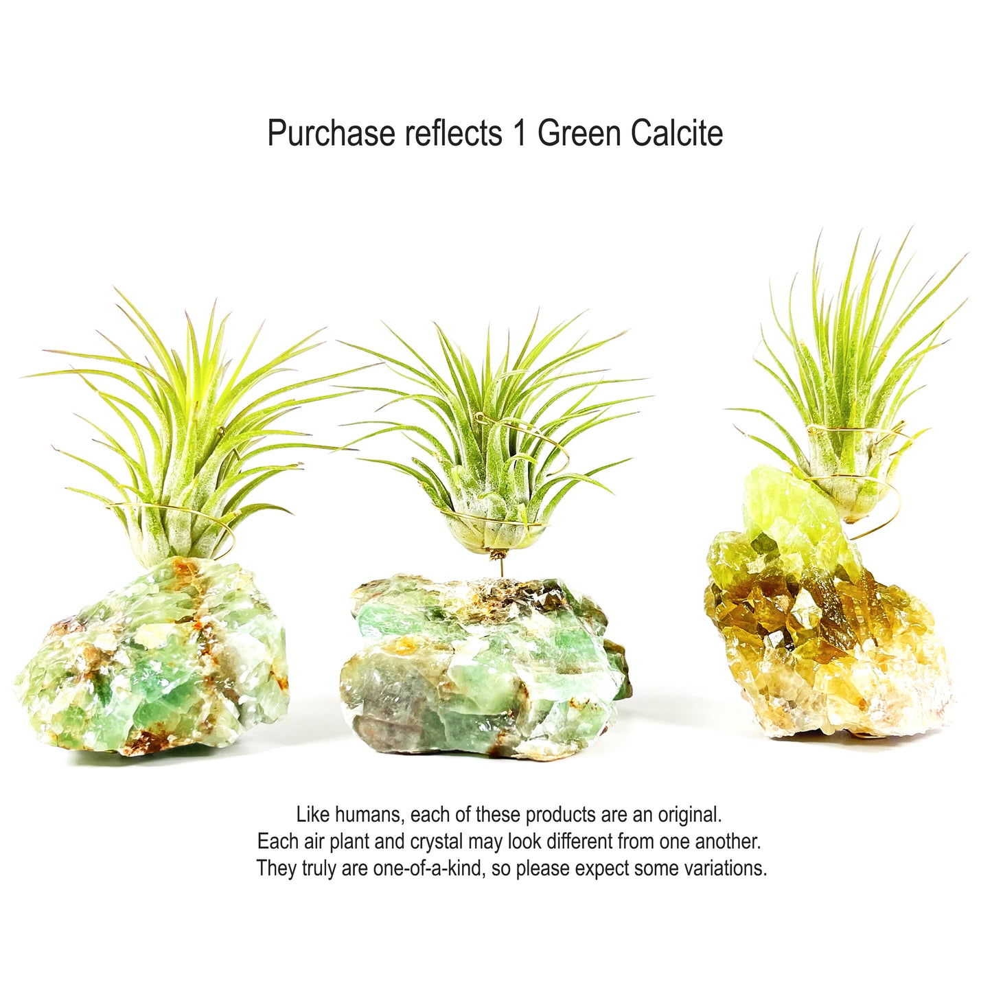 Green Calcite Air Plant Holder