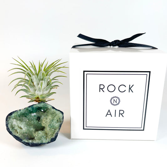 One-of-kind Small Light Green Geode Crystal Air Plant Holder - Gift Wrapped and Plant Included
