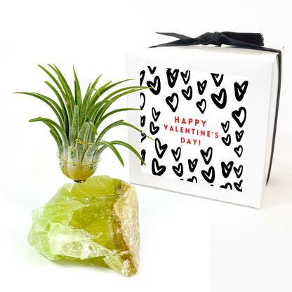 Green Calcite Air Plant Holder - Valentine's Day Air Plant Gift