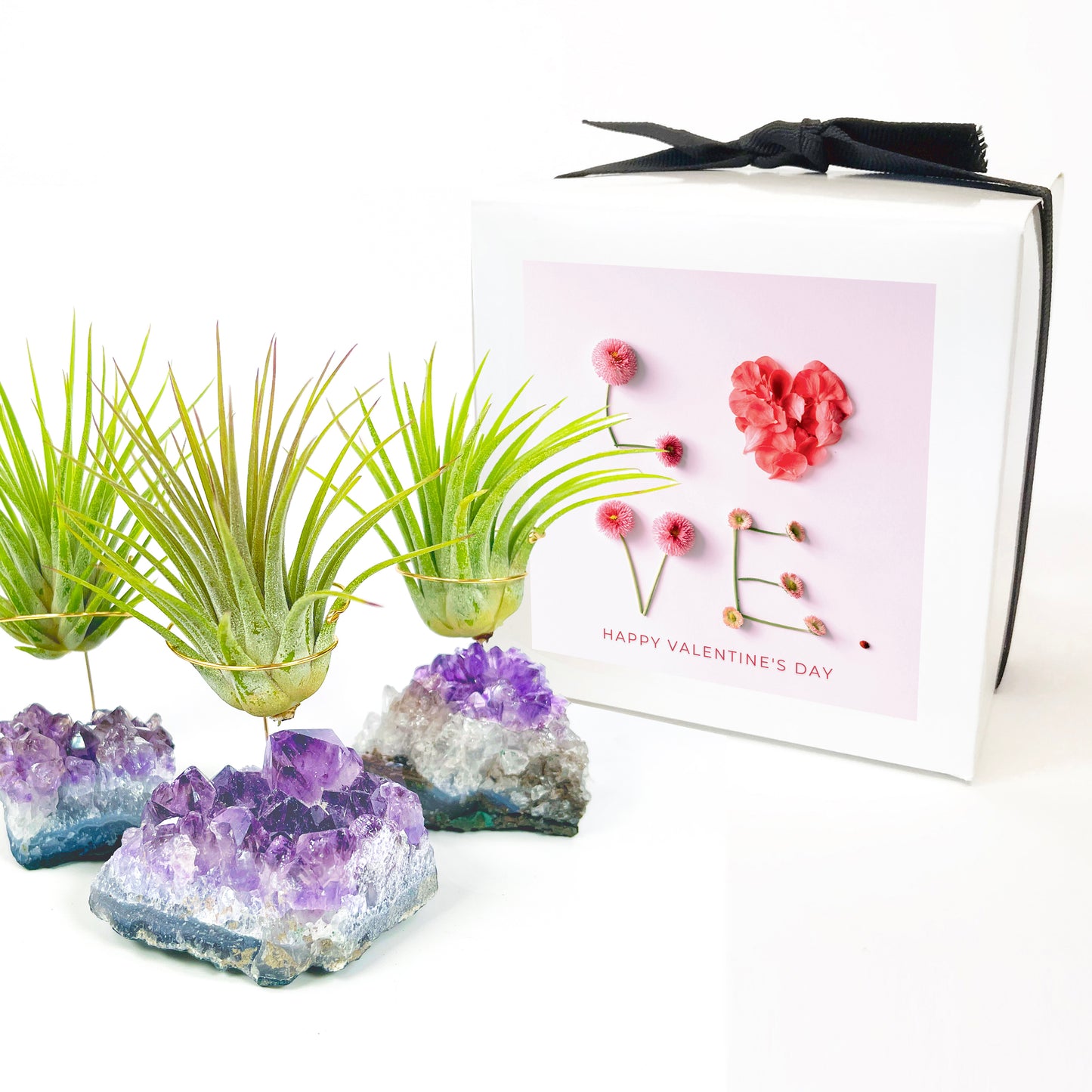 Small Amethyst Air Plant Holders (Set of 3) - Valentine's Day Air Plant Gifts