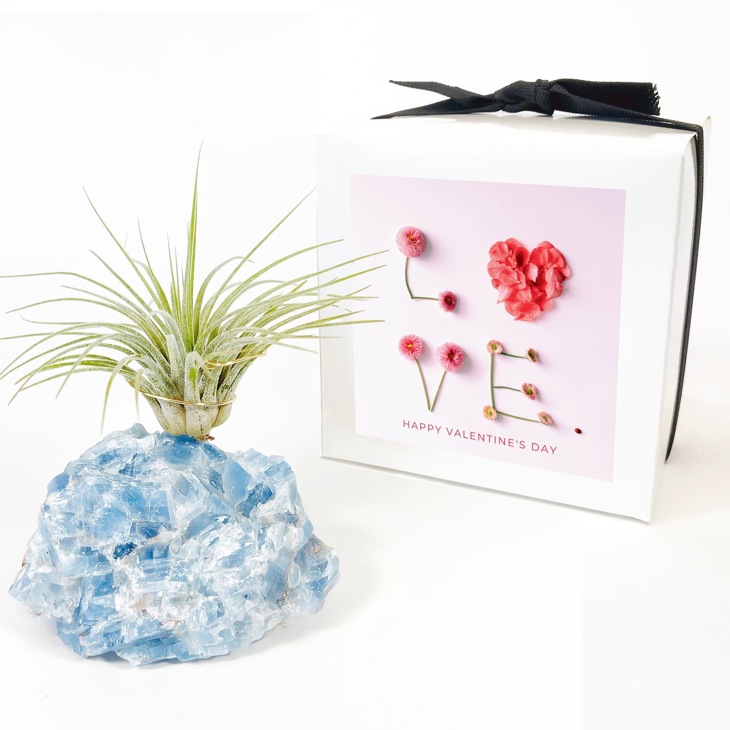 Blue Calcite Crystal Air Plant Holder - Valentine's Day Air Plant Gift