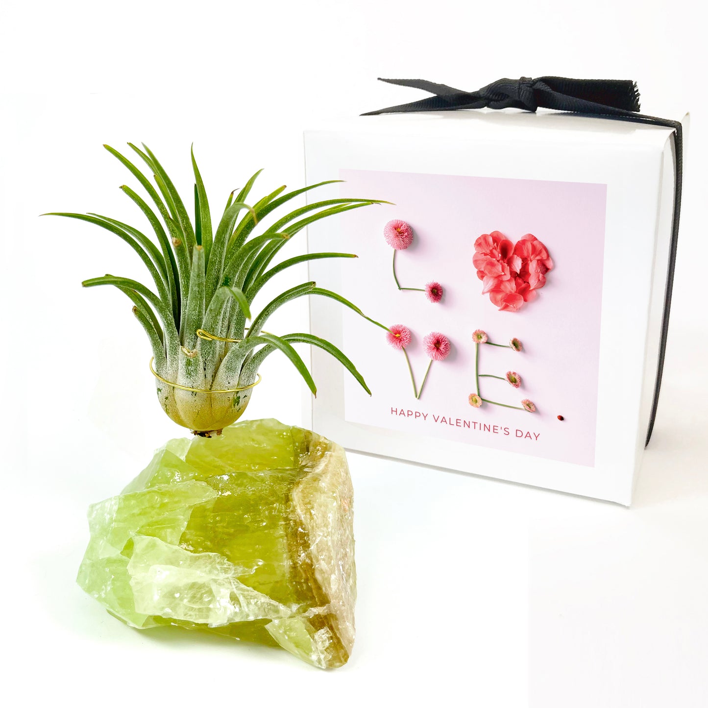 Green Calcite Air Plant Holder - Valentine's Day Air Plant Gift