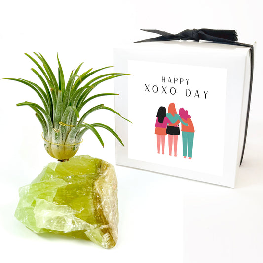 Green Calcite Air Plant Holder - Galentine's Day Air Plant Gift