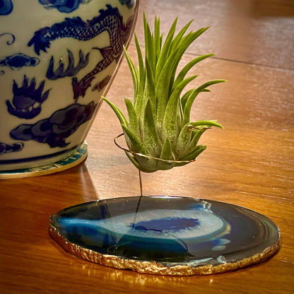 Unique Birthday Gift - Blue Agate Crystal Air Plant Holder