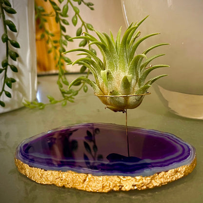 Purple Agate Crystal Air Plant Holder