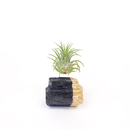 Get Well Gift - Gold-Dipped Black Tourmaline Air Plant Holder