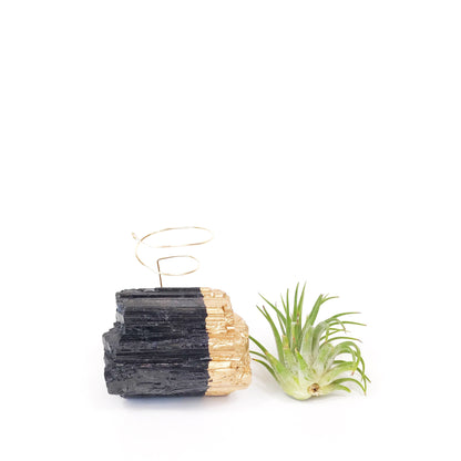 Get Well Gift - Gold-Dipped Black Tourmaline Air Plant Holder