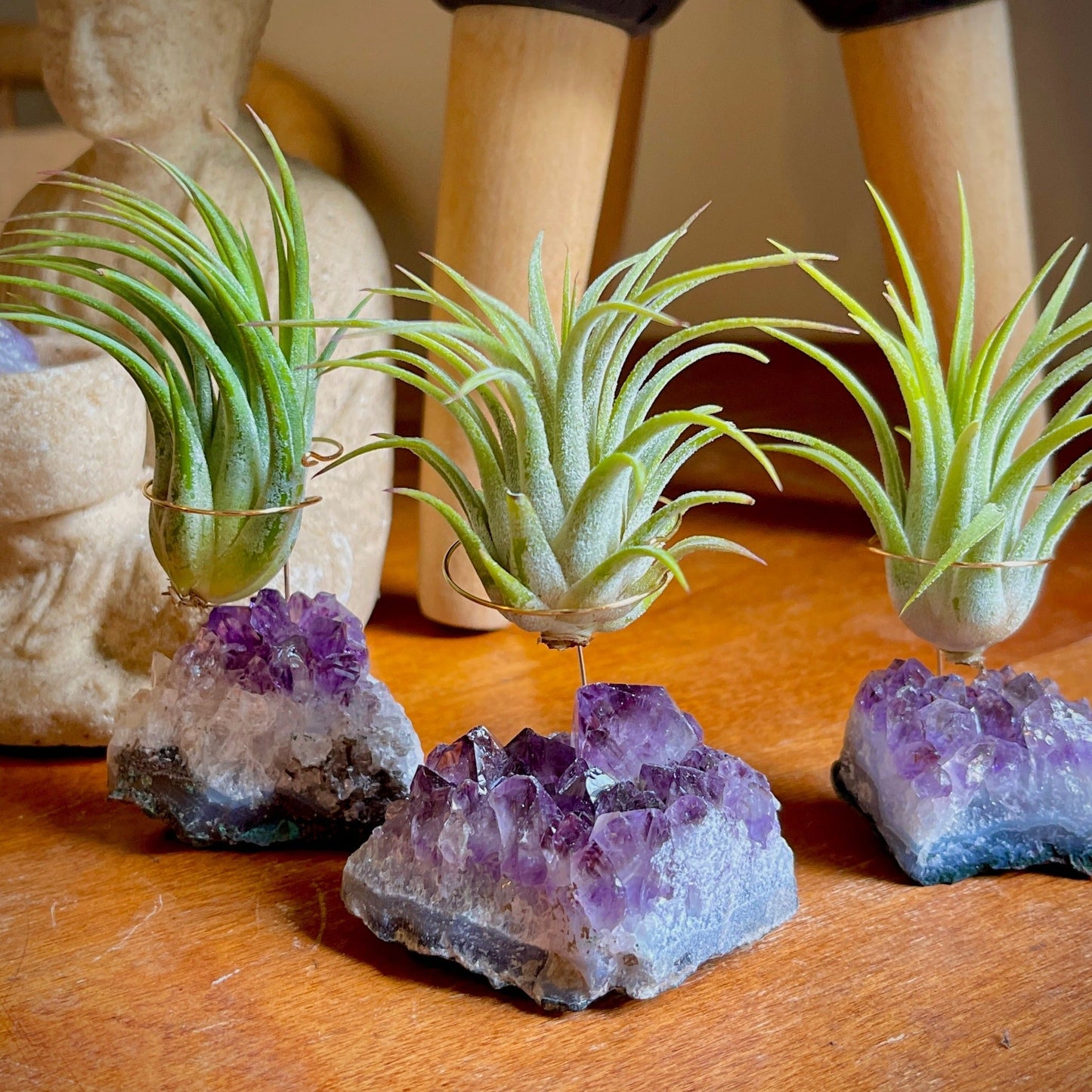 Unique Birthday Gift - Small Amethyst Air Plant Holders (Set of 3)