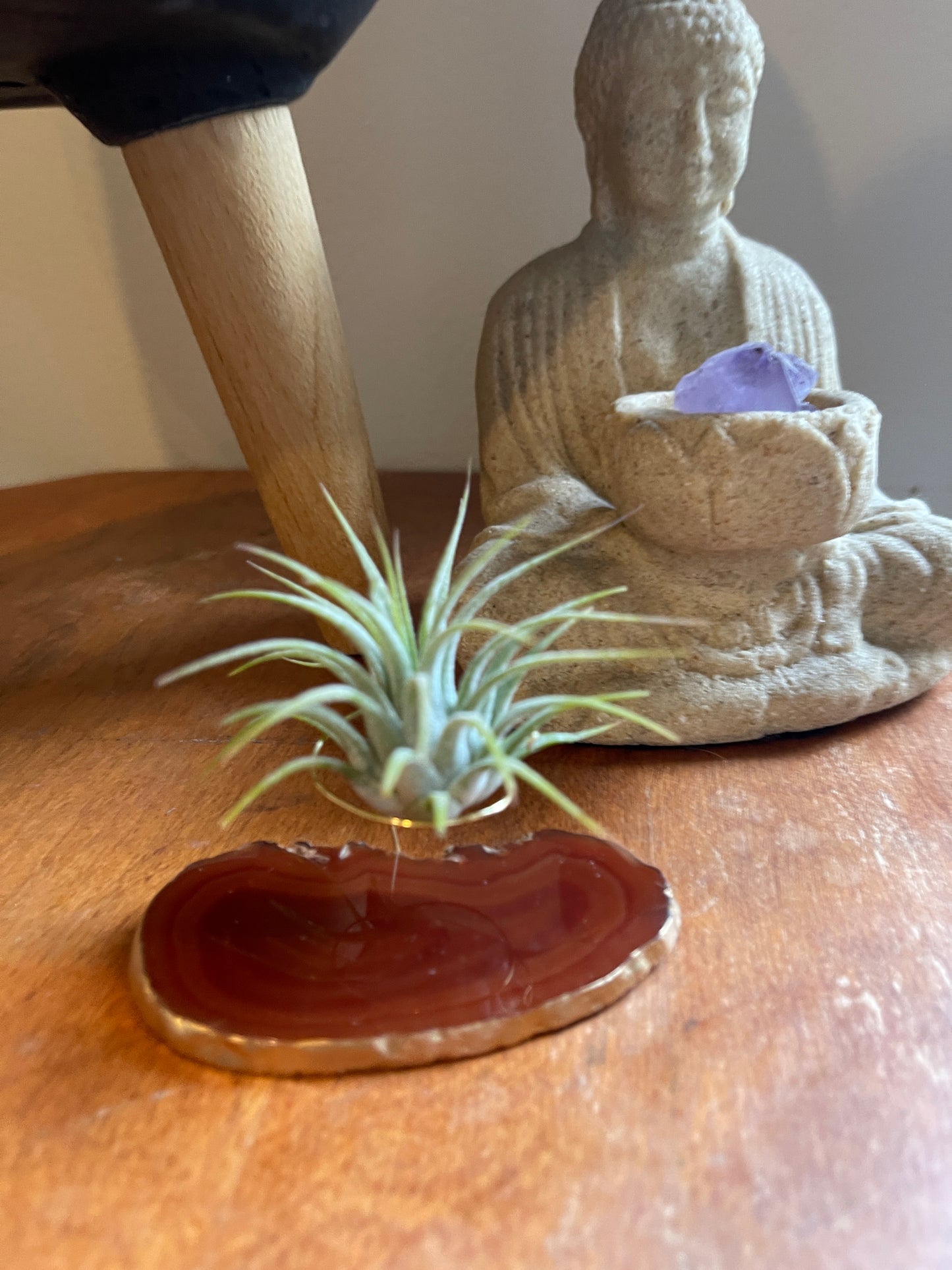 Red Agate Slice Crystal Air Plant Holder - Tillandsia Ionantha Guatemala Plant and Gift Box Included (Copy)
