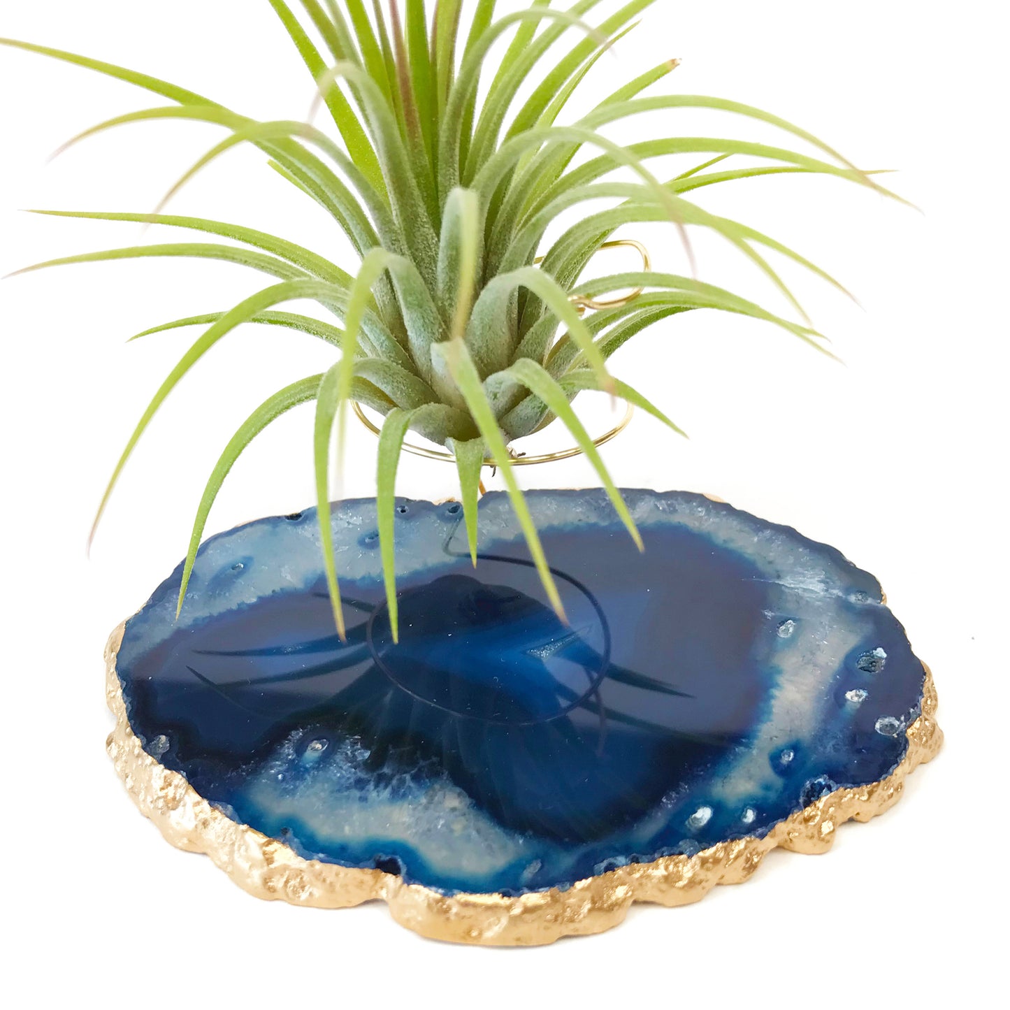 Blue Crystal Air Plant Holder