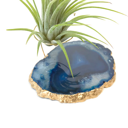 Blue Agate Crystal Air Plant Holder