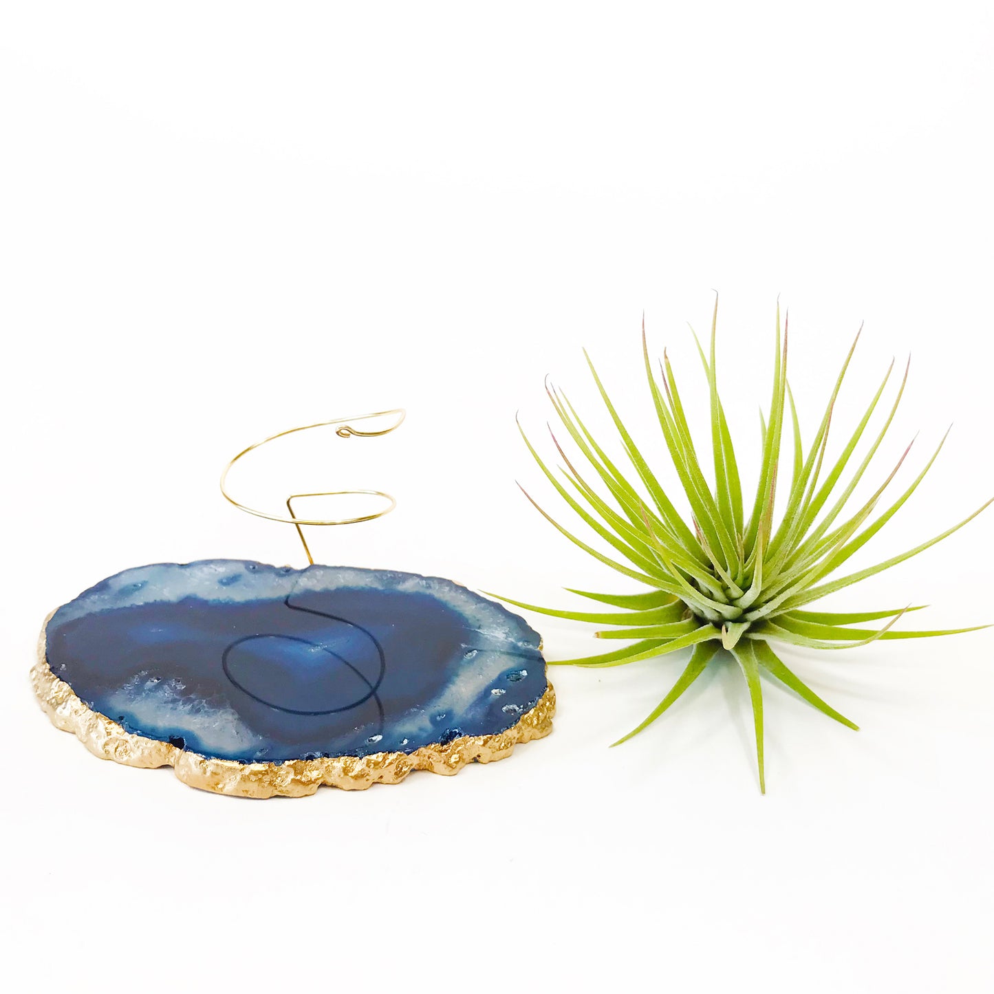 Blue Agate Crystal Air Plant Holder