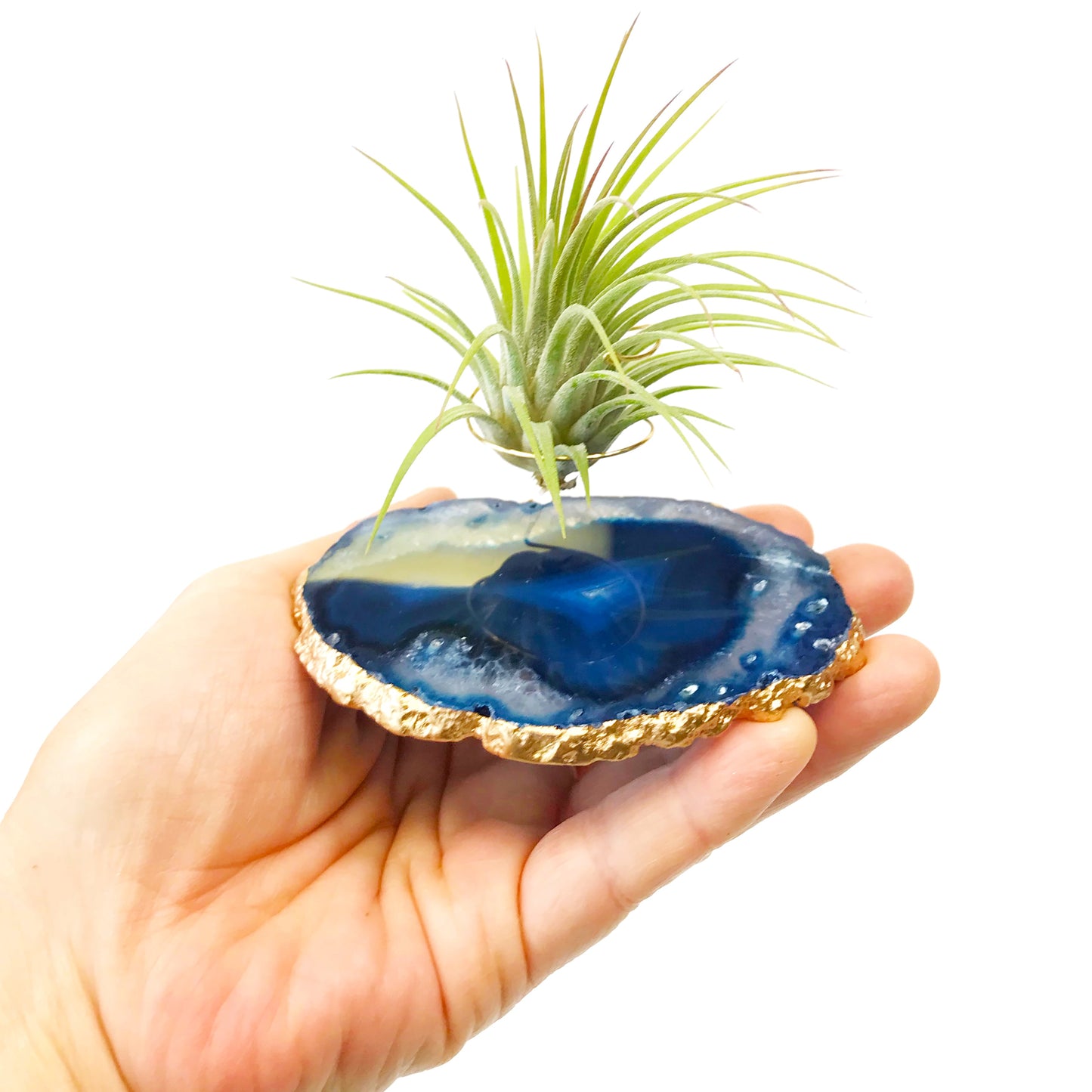 Unique Birthday Gift - Blue Agate Crystal Air Plant Holder