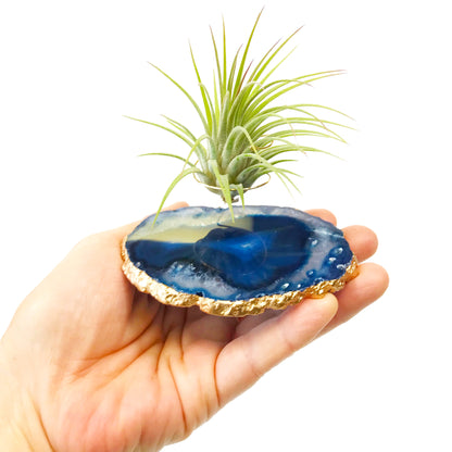 Sympathy Gift - Blue Agate Crystal Air Plant Holder
