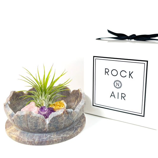 Sympathy Gift - Lotus Carved Marble Decorative Bowl Air Plant Display with Crystals, Includes Air Plant, Amethyst, Citrine, Rose Quartz