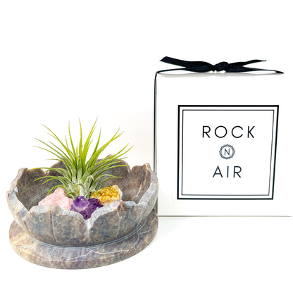 Sympathy Gift - Lotus Carved Marble Decorative Bowl Air Plant Display with Crystals, Includes Air Plant, Amethyst, Citrine, Rose Quartz