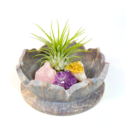 Sympathy Gift - Lotus Carved Marble Decorative Bowl Air Plant Display with Crystals, Includes Air Plant, Amethyst, Citrine, Rose Quartz