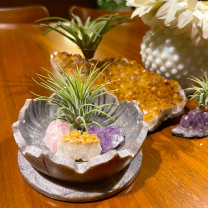 Natural Lotus Stone Bowl Decor with Crystals and Air Plants - Includes Citrine, Amethyst and Rose Quartz - Boho or Spiritual Home Decor Gift