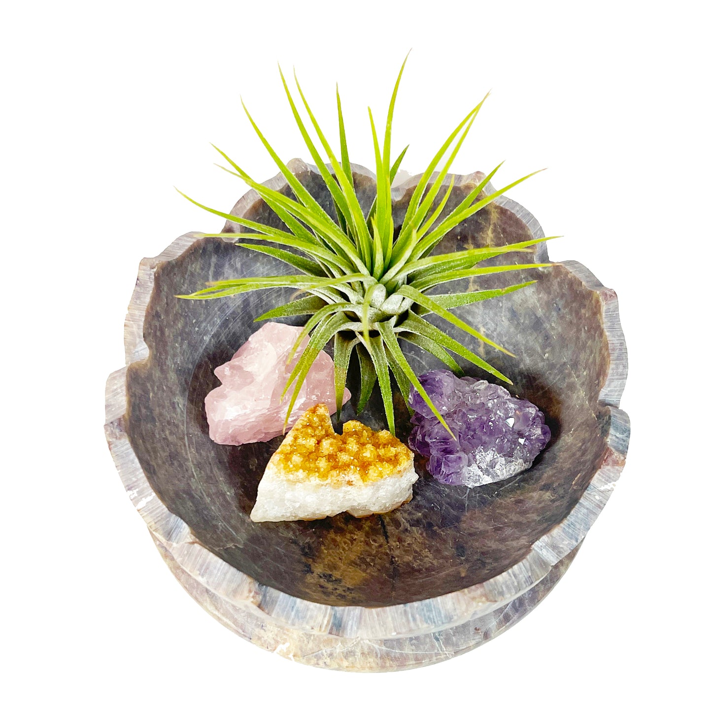 Natural Lotus Stone Bowl Decor with Crystals and Air Plants - Includes Citrine, Amethyst and Rose Quartz - Boho or Spiritual Home Decor Gift