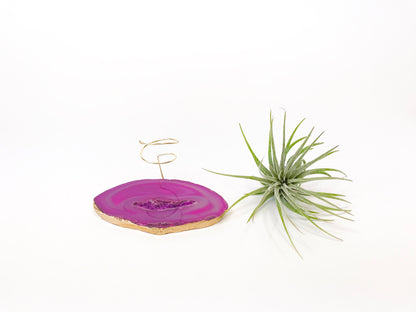 Sympathy Gift - Pink Agate Crystal Air Plant Holder