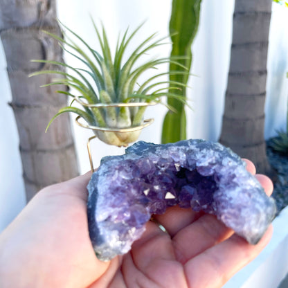 One-of-a-kind Half Moon Shaped Purple Amethyst Crystal Air Plant Holder - Includes Gift Box and Healthy Tillandsia